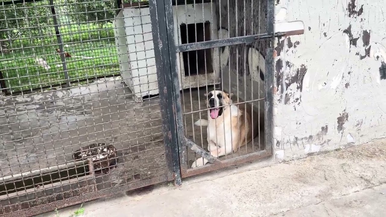 Наш розплідник: 05.07.25