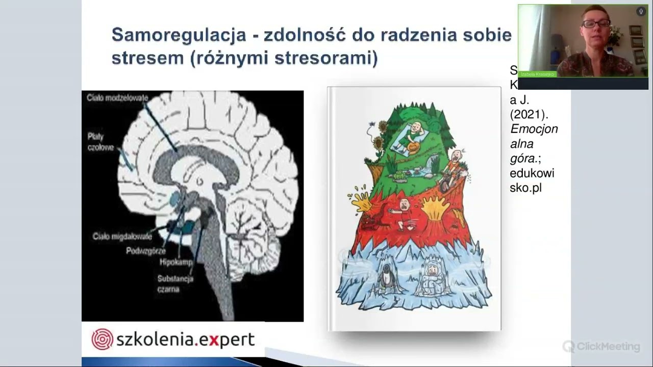 Wsparcie matki w samoregulacji jako przeciwdziałanie przemocy wobec dzieci. Spotkanie z Ekspertem.