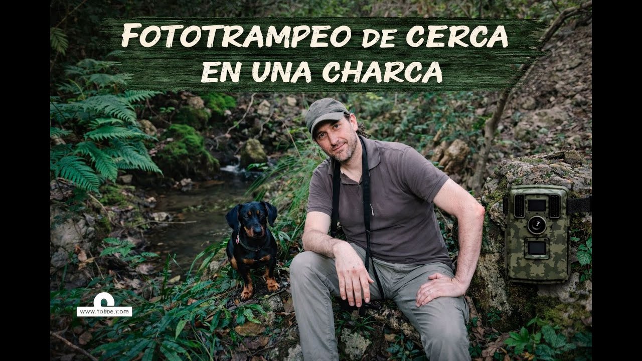 Fototrampeo de cerca en una charca_Capítulo 2
