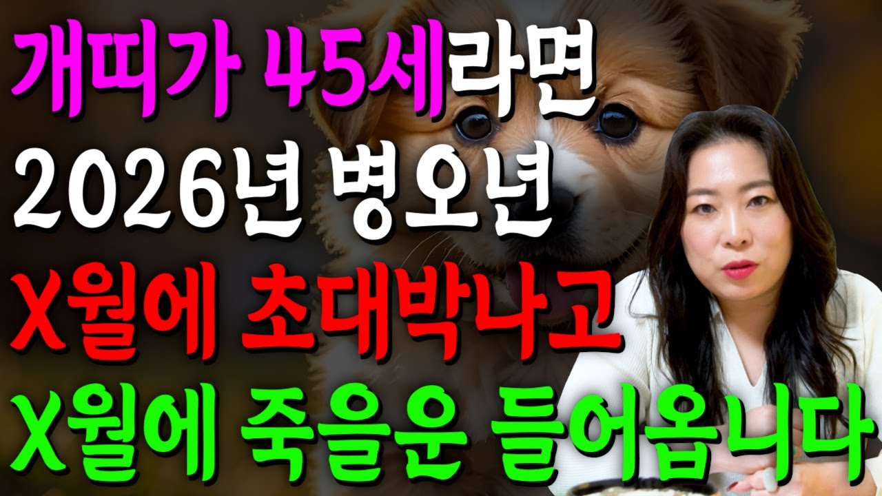 개띠 정말 미쳤다!! 2026년 1982년생 45세 개띠운세 배신당했던 모든날을 보답받습니다! X월에 태어났다면 무조건 대박이다!! 2026년 병오년 대박나는 82년생 개띠 운세