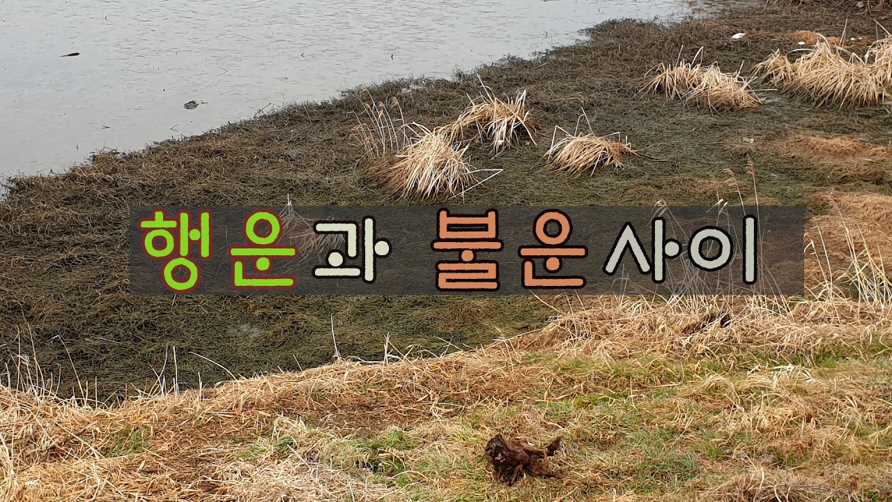 나주 영상강 낚시#붕어낚시#붕어대물낚시#밤낚시#있는그대로의 낚시