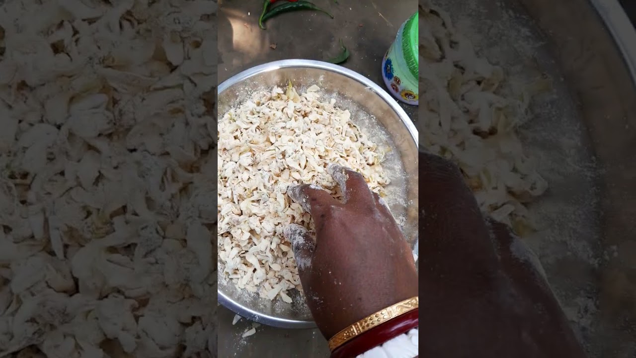 21 February 2026