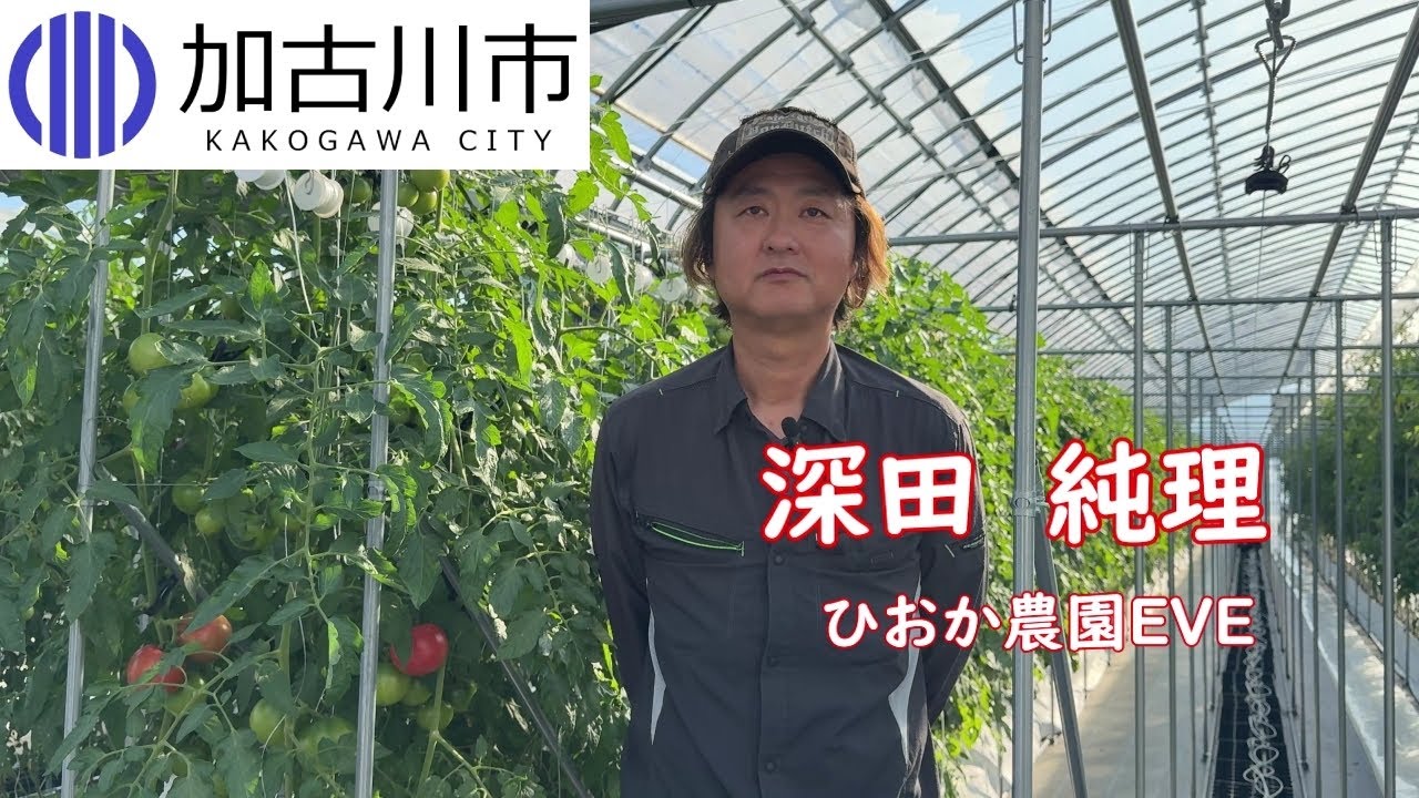 【加古川市】脱サラで農業へ！トマト農家さんに密着！