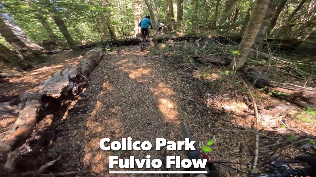 Colico Park 🍃 Fulvio Flow