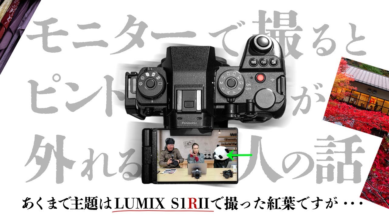ピントを外す人の共通点。モニターで撮るとピントが外れる人の話。 あくまで主題はLUMIX SIRIIとS PROレンズで撮った紅葉です