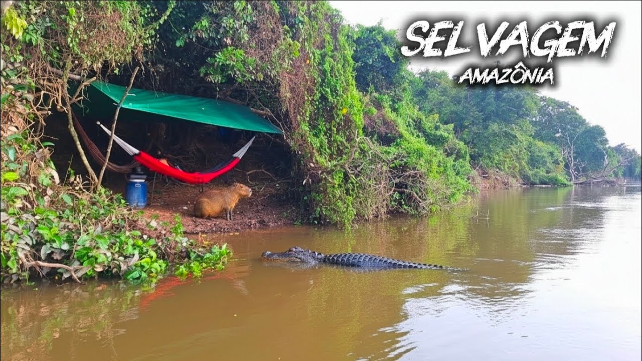 Acampamento na Amazônia: A Pirarara Bruta Saiu e os Animais Silvestres Apareceram!