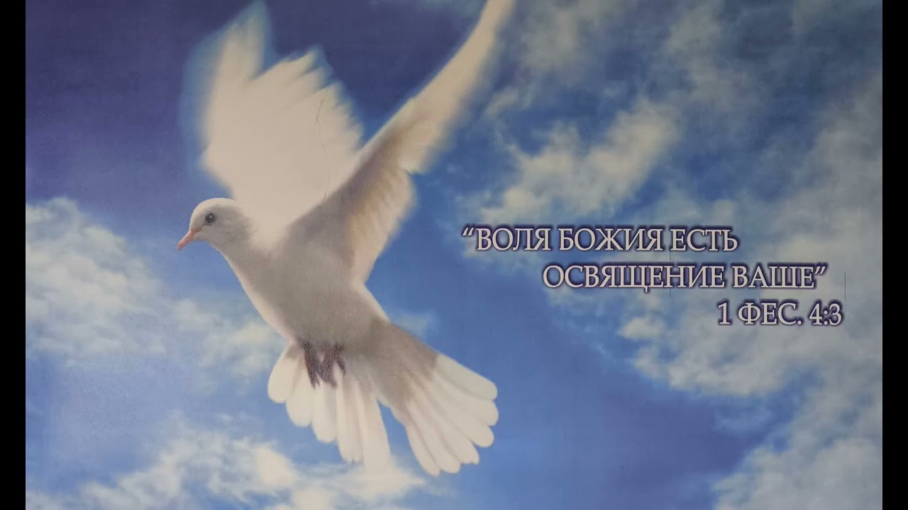 Верность Богу - путь к успеху 