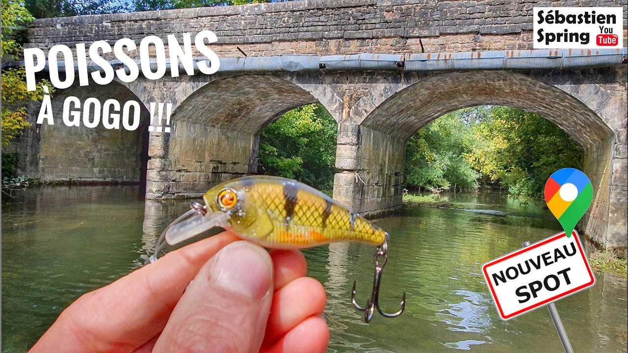J'EXPLORE une petite rivière TRÈS SAUVAGE ET POISSONNEUSE ! Brochets à vue ...