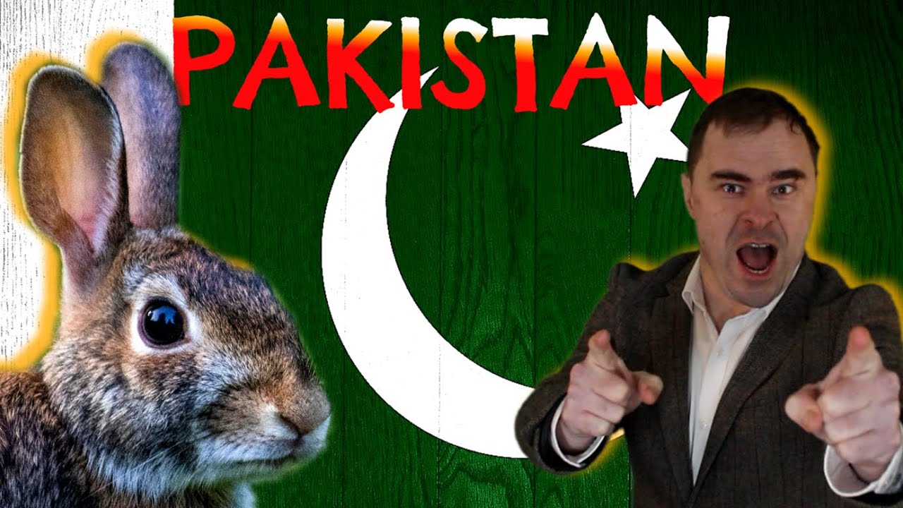 Languages of Pakistan Explained in 1 sentence 'ish'