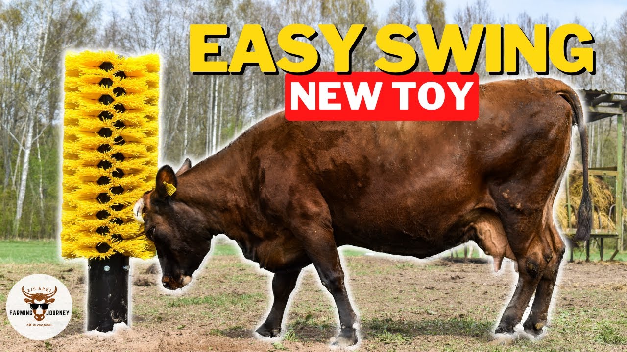 HOW WE MADE OUR COWS REALLY HAPPY! (EASYSWING BRUSH TOTEM)