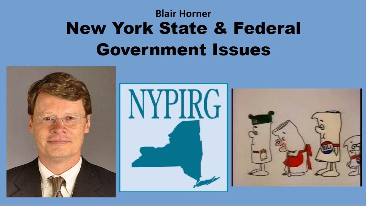 CDHS 2026 02   NYS Government Issues