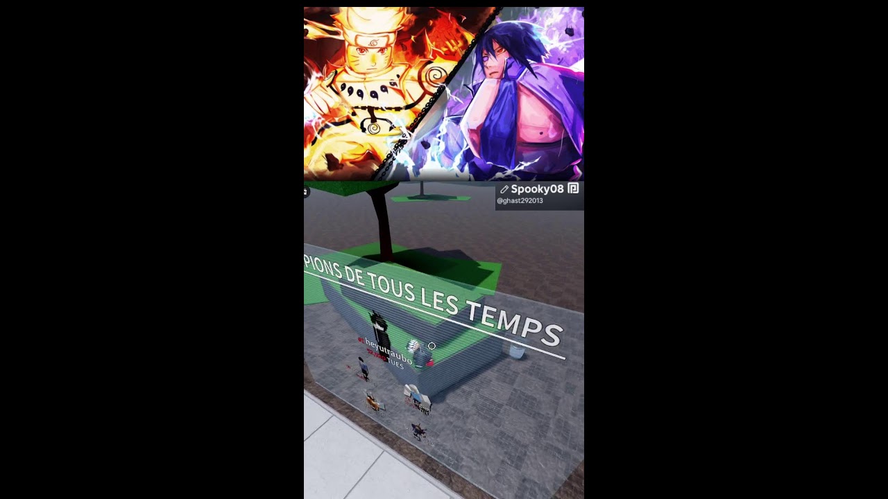 live 1V1 battel gound avec des role sur mon serveur discord a gagné  (Portrait)