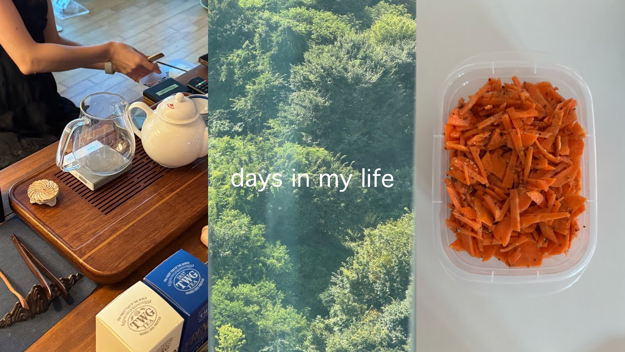 VLOG. 다도 수업에서 내가 배운 것🌱 최애 초계국수 맛집 찾고, 당근으로 건강한 식사하기. 에이뮤 정수기 설치 찐후기까지.