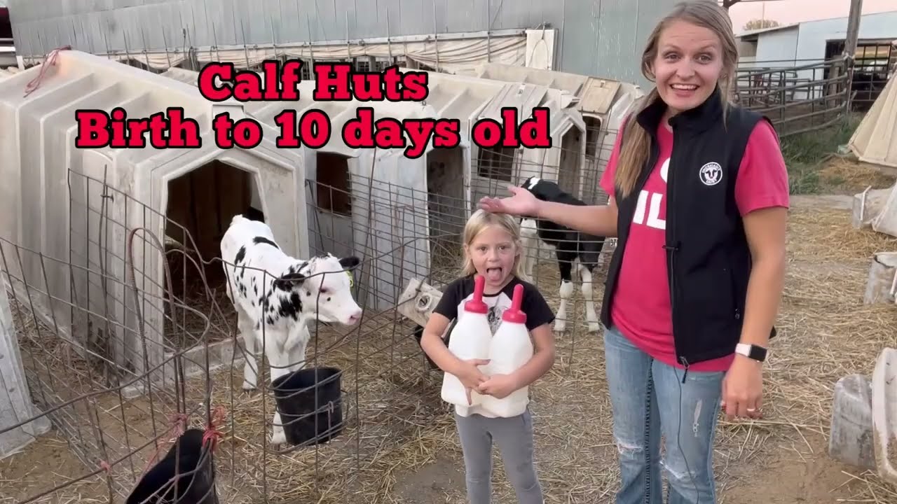 Rottinghaus Holsteins Farm Tour