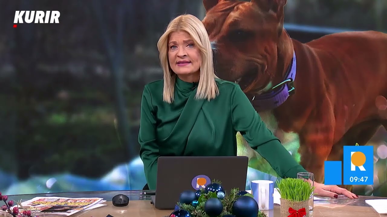 PSI UJEDAJU IZ STRAHA ali mogu biti i dresirani da napadaju ljude