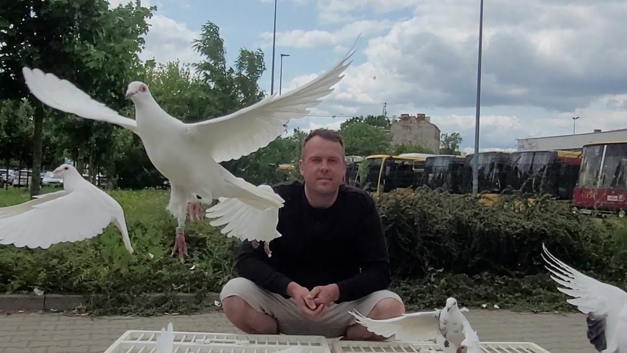 Trening 44 km🕊😉 Spotkanie z kuzynem przed wyjazdem w świat 🚲🌏  Szalony Koń💪🇵🇱🐴
