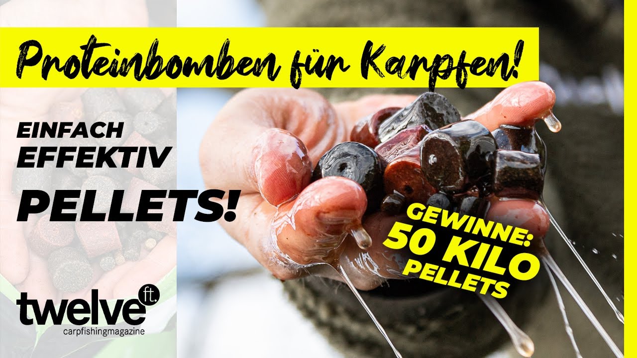 Halibut Pellets = Proteinbomben für Karpfen! ⭐ 50 Kilo Pellets gewinnen ⭐ + Fischöl Tipp!