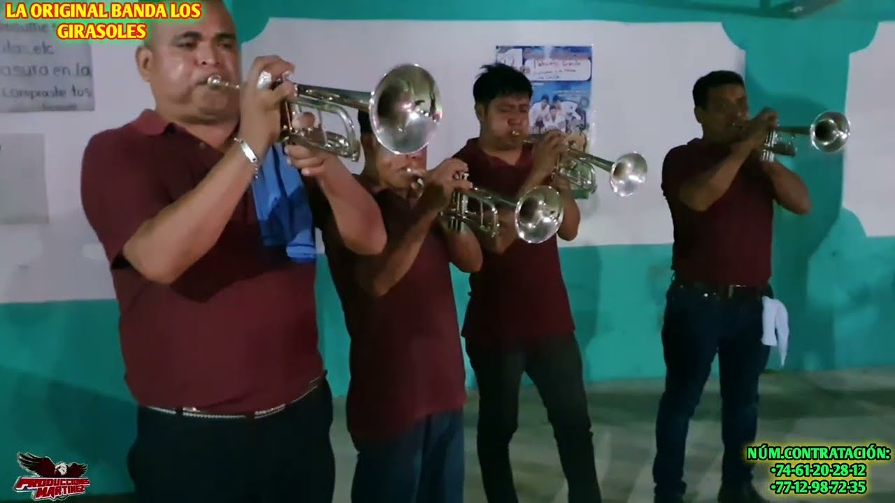 LA ORIGINAL BANDA LOS GIRASOLES DESDE PALTZOQUITEMPA BENITO JUAREZ