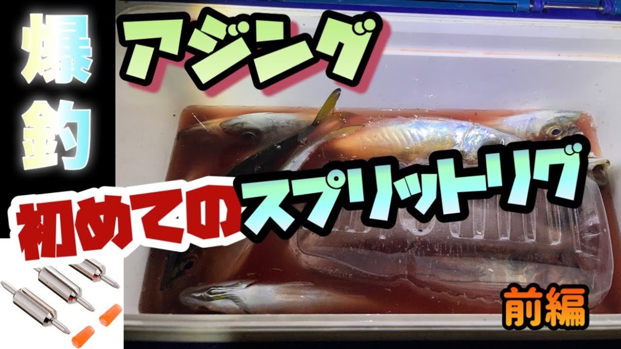 【アジング】初めてのスプリットリグで良型アジを狙う！【山陰】 #津山ベース #アジング