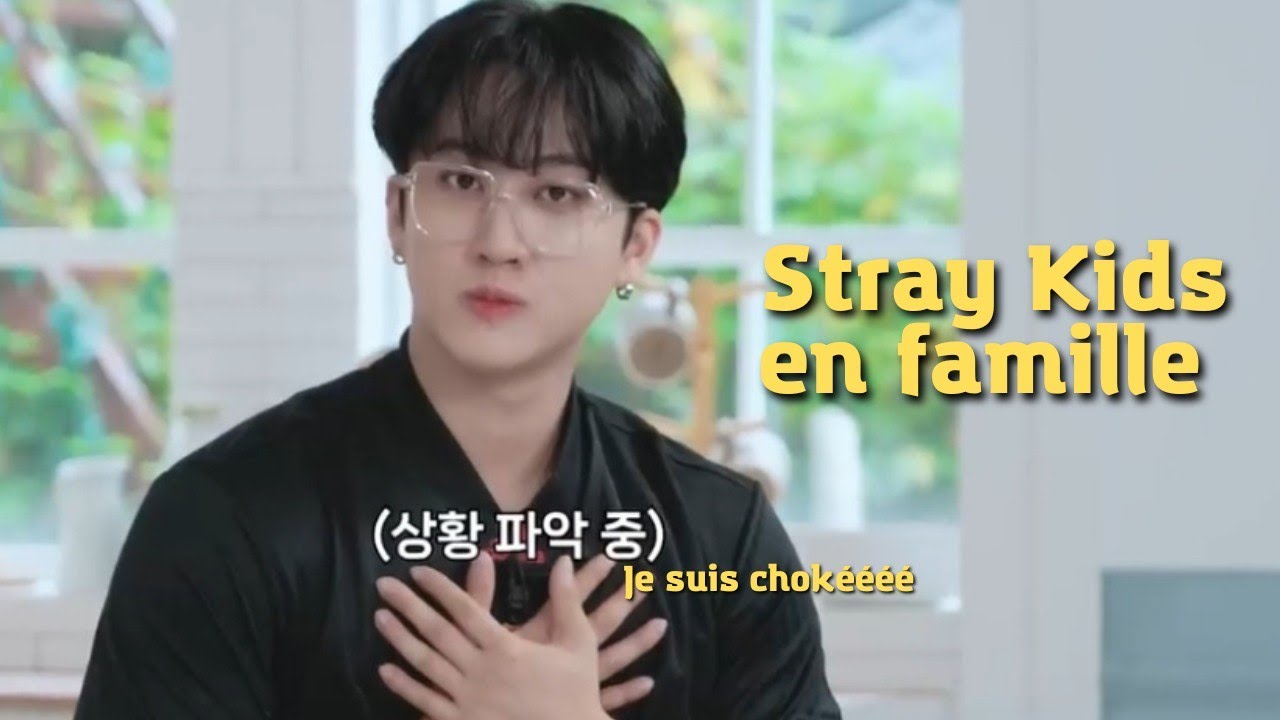 Si Stray Kids en famille était doublé en français 😂🇨🇵