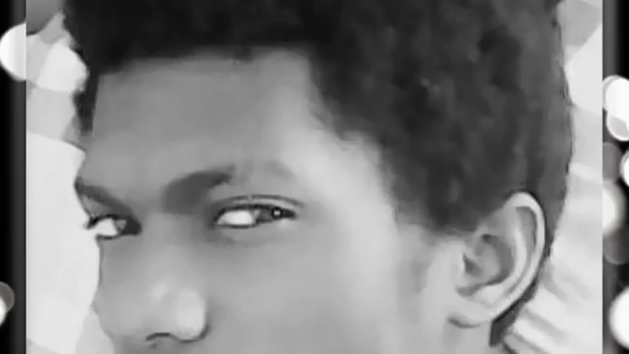 Djarou Best -_- Bibi