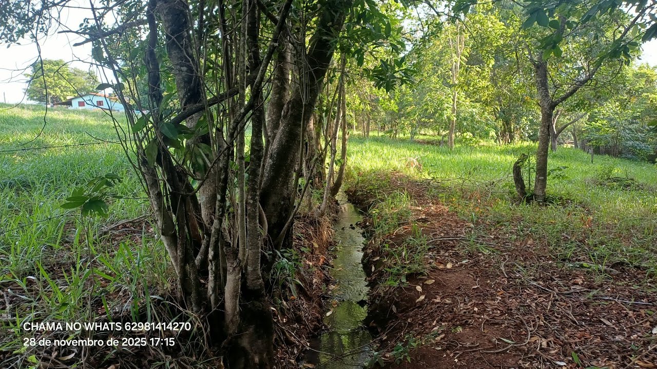 Chácara 20.000M2 Valor 260.000 Região BelaVista deGoiás 60 km Goiânia Terra Escriturada 62981414270 