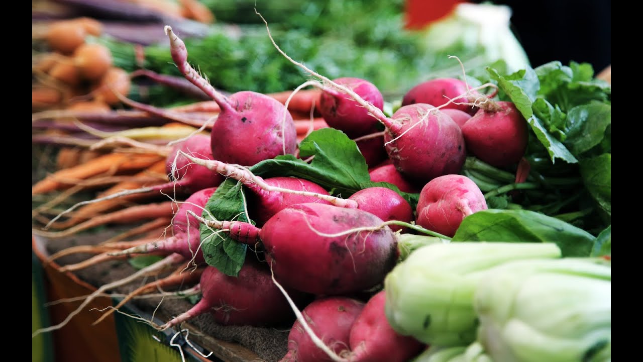 Harvesting Radishes from My Garden | Garden Tour