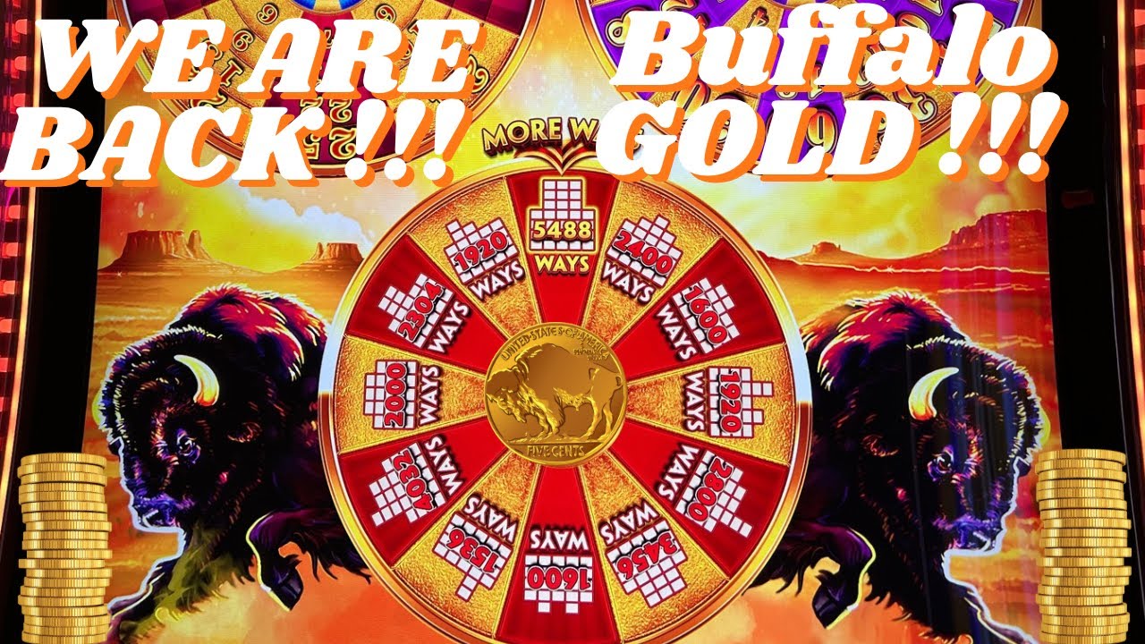 BUFFALO GOLD Мы вернулись!