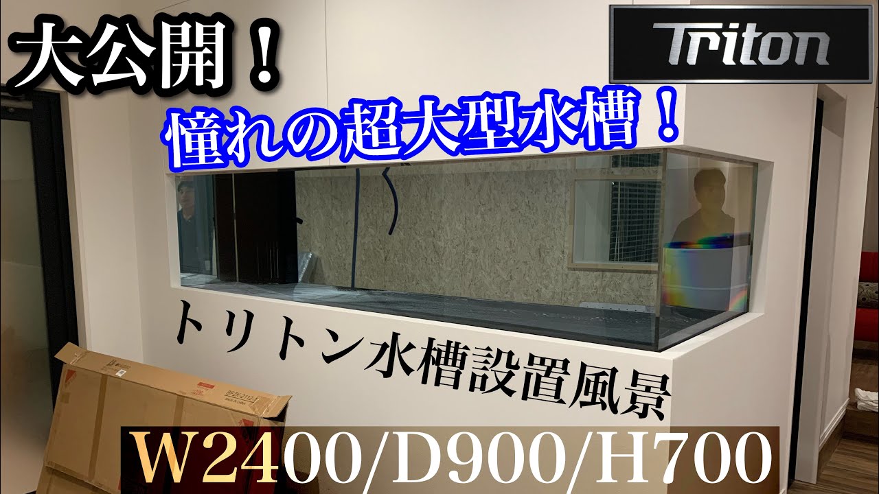 【超大型水槽】圧巻の2.4ｍ！トリトン水槽設置風景大公開！