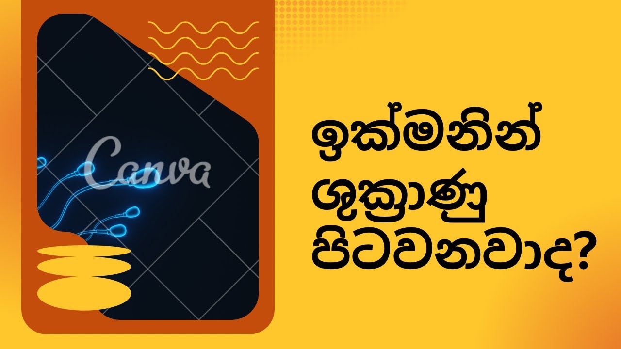 ඉක්මනින් ශුක්‍රාණු පිටවනවාද? වැඩි කාලයක් එකතු වන්නේ කෙසේද?