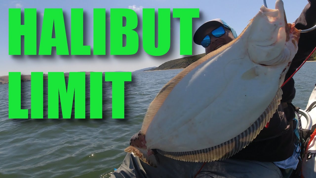Tomales Bay Halibut limit