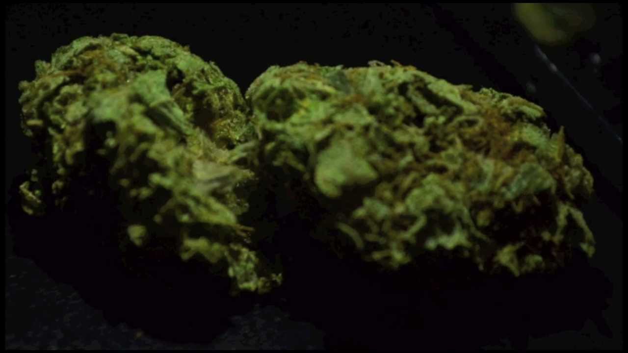 Hashberry Strain Review