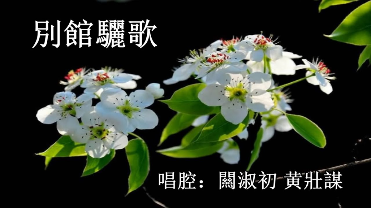 別館驪歌_何華棧 許敬宜 演唱