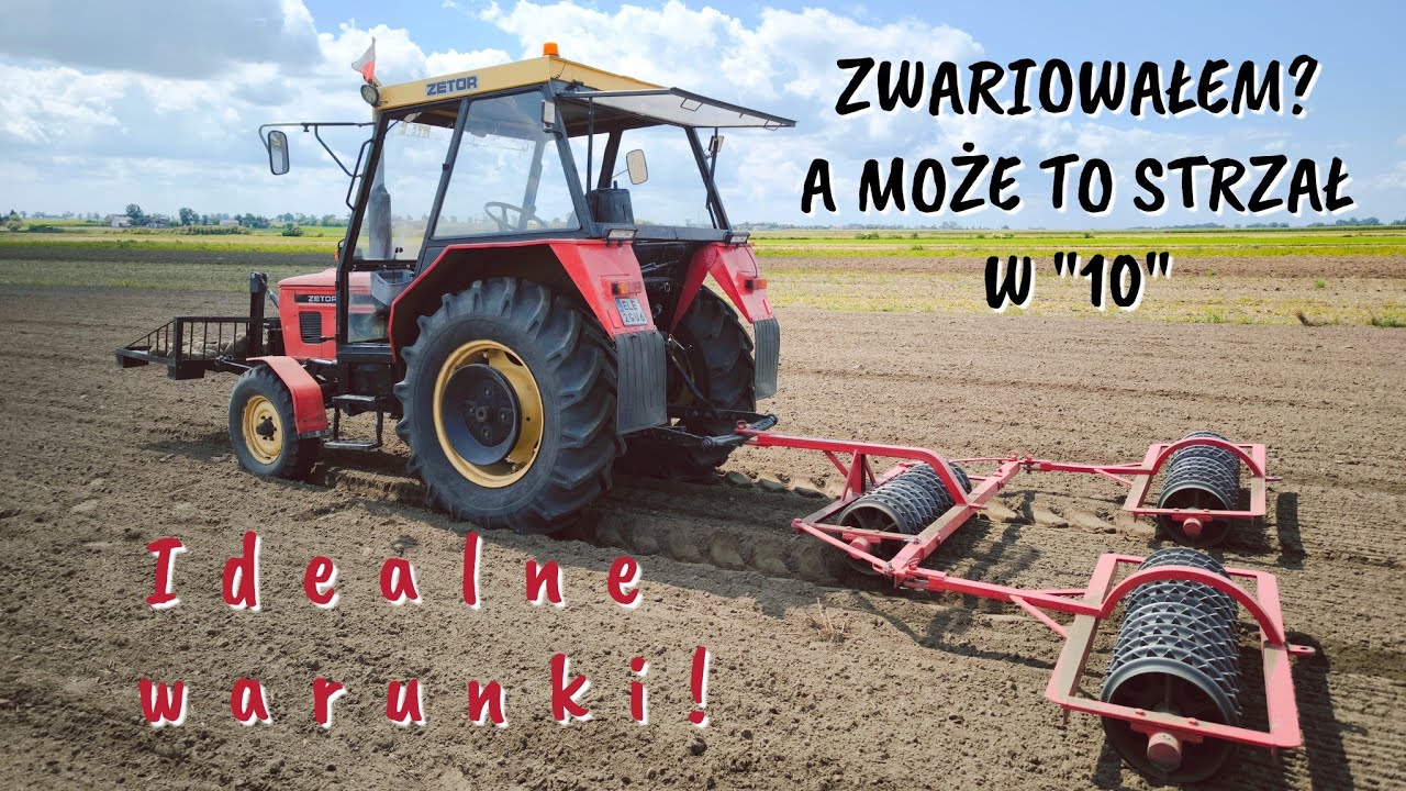 Każdy robi jak uważa czyli wczesny siew rzepaku - Wysiane niecałe 2kg Poznaniakiem :) Można? Można!