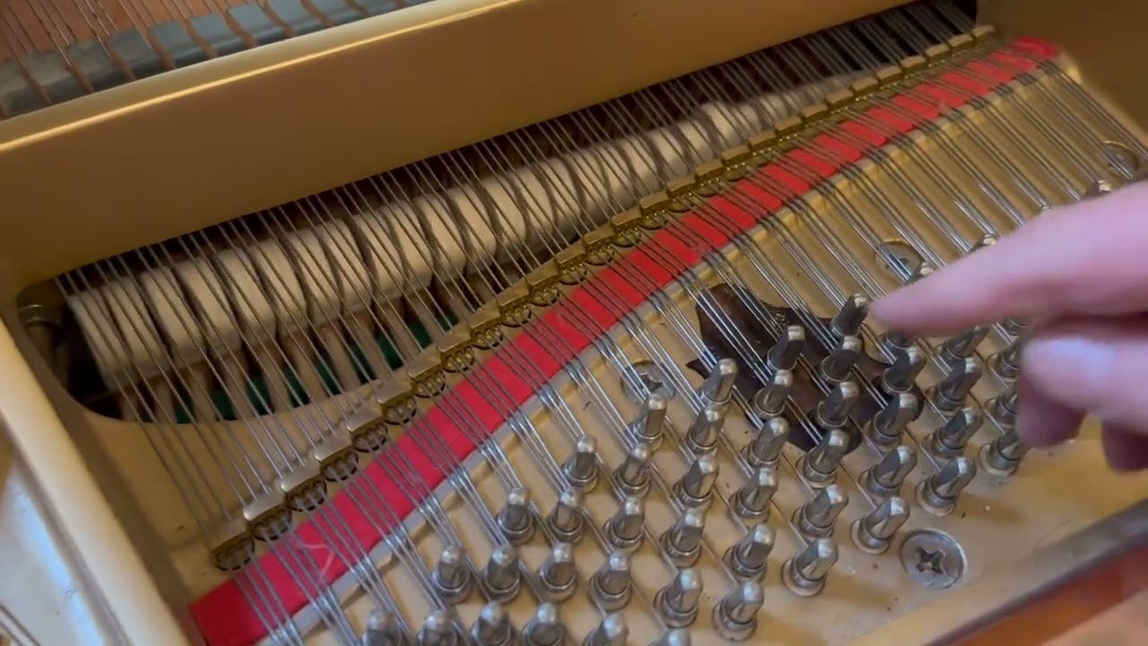 Assessment of pianos in an Oxford college: Bluthner, Boston (sluggish), Yamaha, Welmar and Elysian.