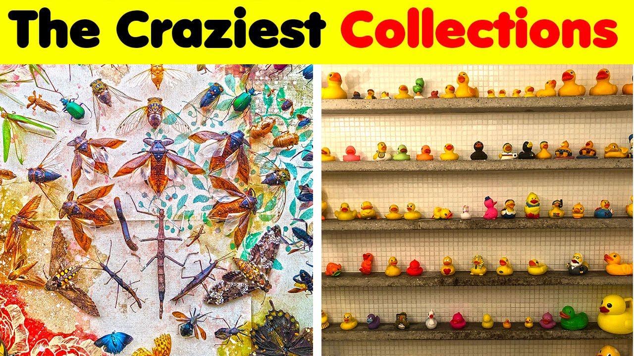 Odd Collections..