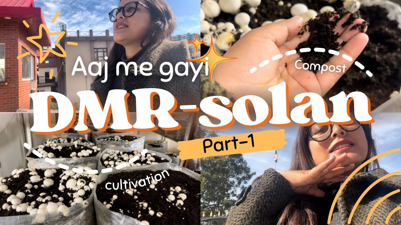 Aaj me gyi ICAR-Directorate of mushroom research ,solan📍।part-1