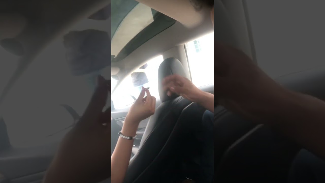 Hotboxing a NEW Tesla 😮&zwj;💨🤷&zwj;♂️ #elonmusk