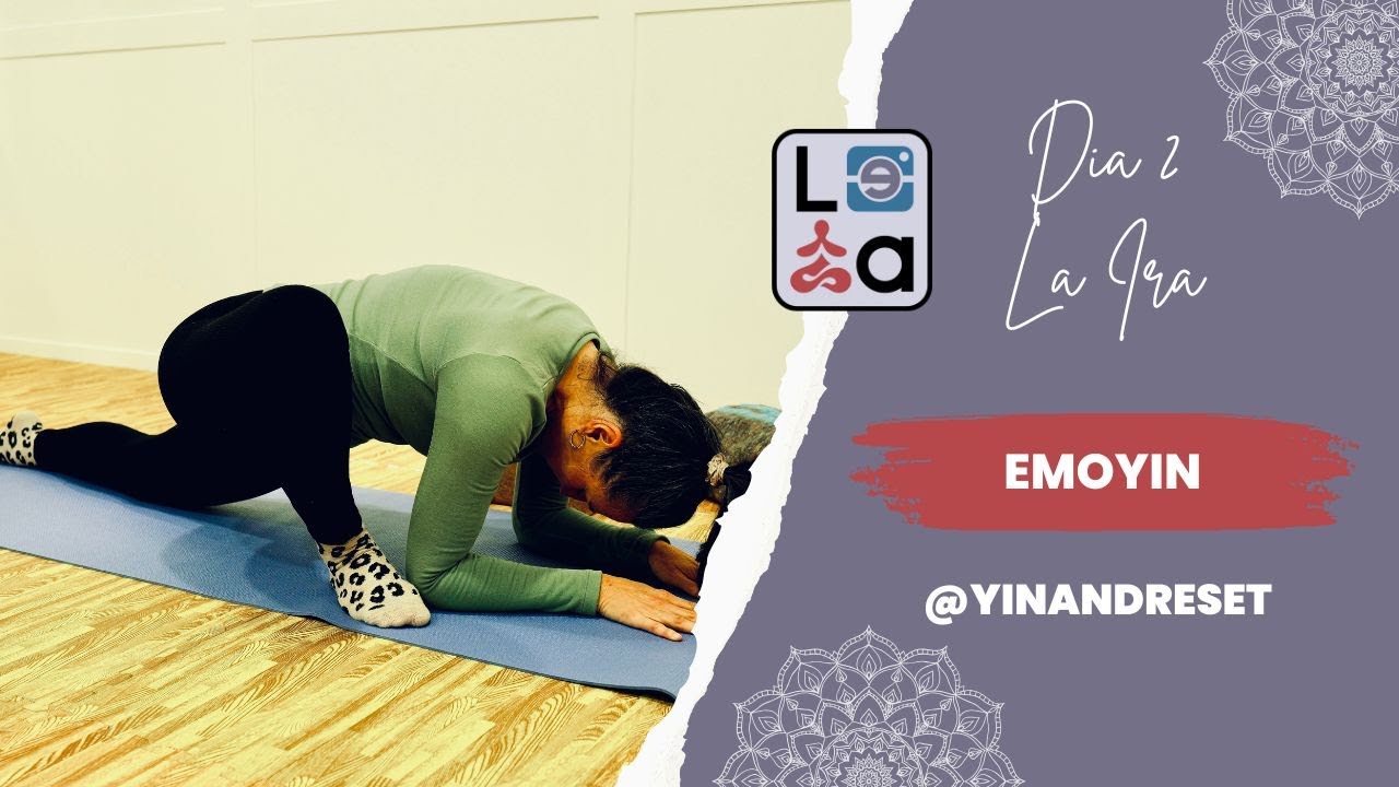 Explota sin dañar: Transforma tu ira en energía vital con EMOYIN- DIA 2 IRA
