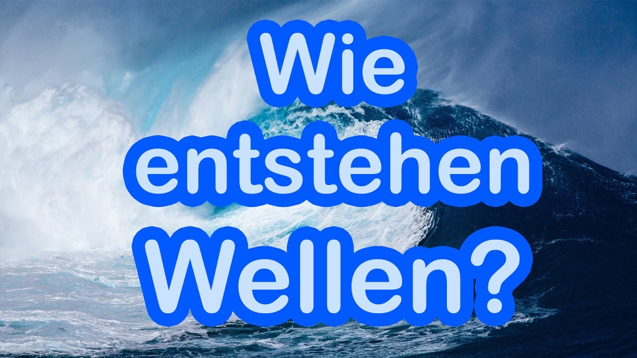 Wie entstehen Wellen? 🌊 🐡