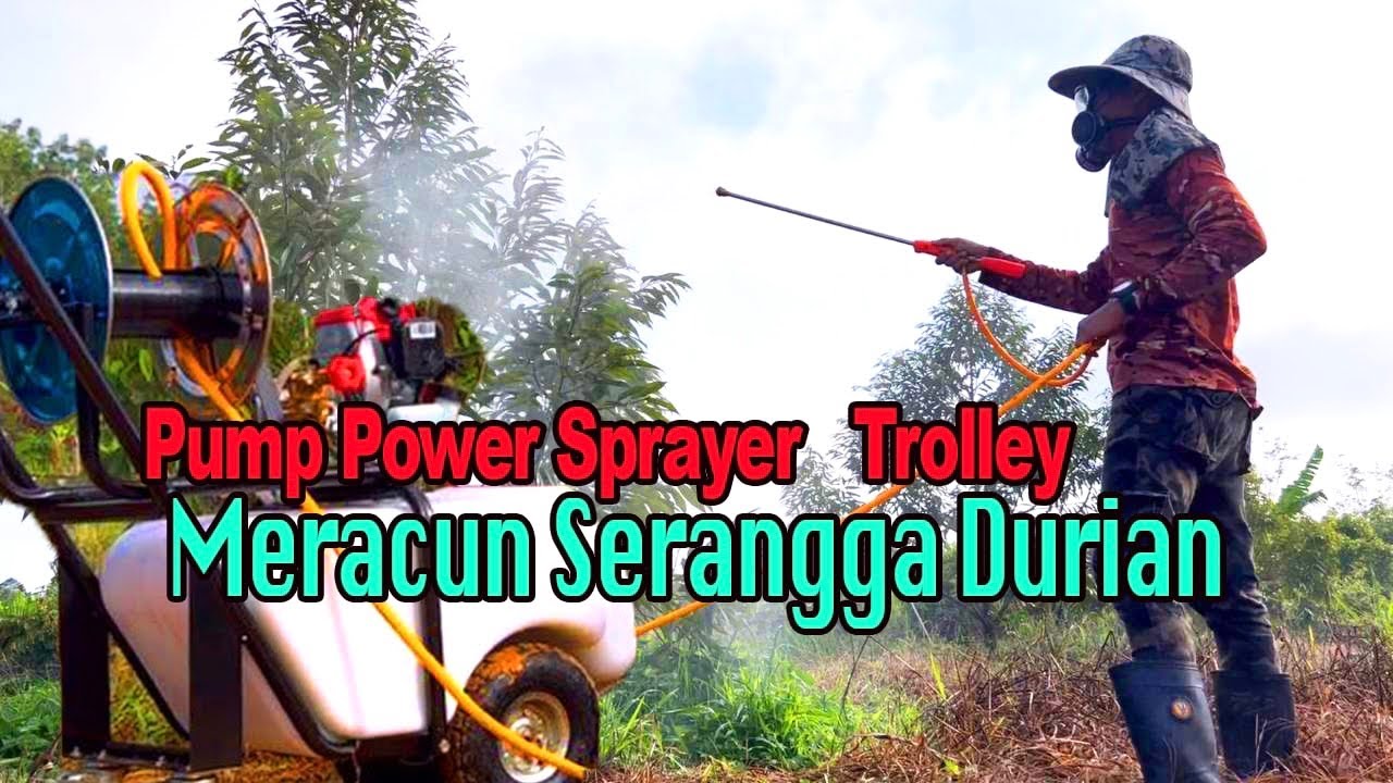 Aku beli OGAWA SY660R Trolley power sprayer.  Pengurusan kebun durian d’kebun andak