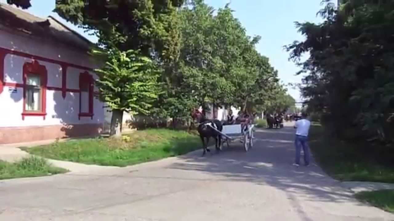 смотра запрега Кљајићево 2015