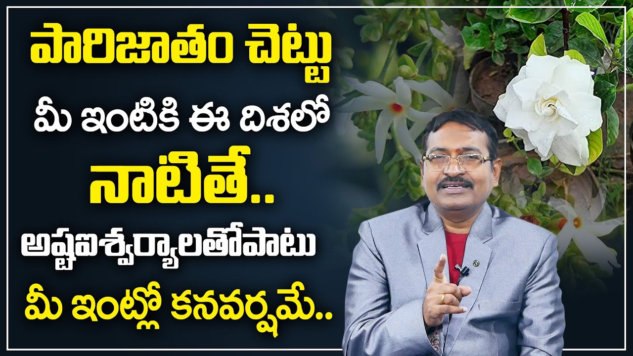 BVSSR Reddy : Parijatham flower Plant || Best Home Vasthu Tips in Telugu | Vedic Mahavastu || M Qube