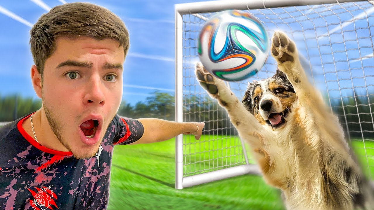 MON CHIEN ME DÉFIS EN 1 VS 1 FOOTBALL  !!? 😱