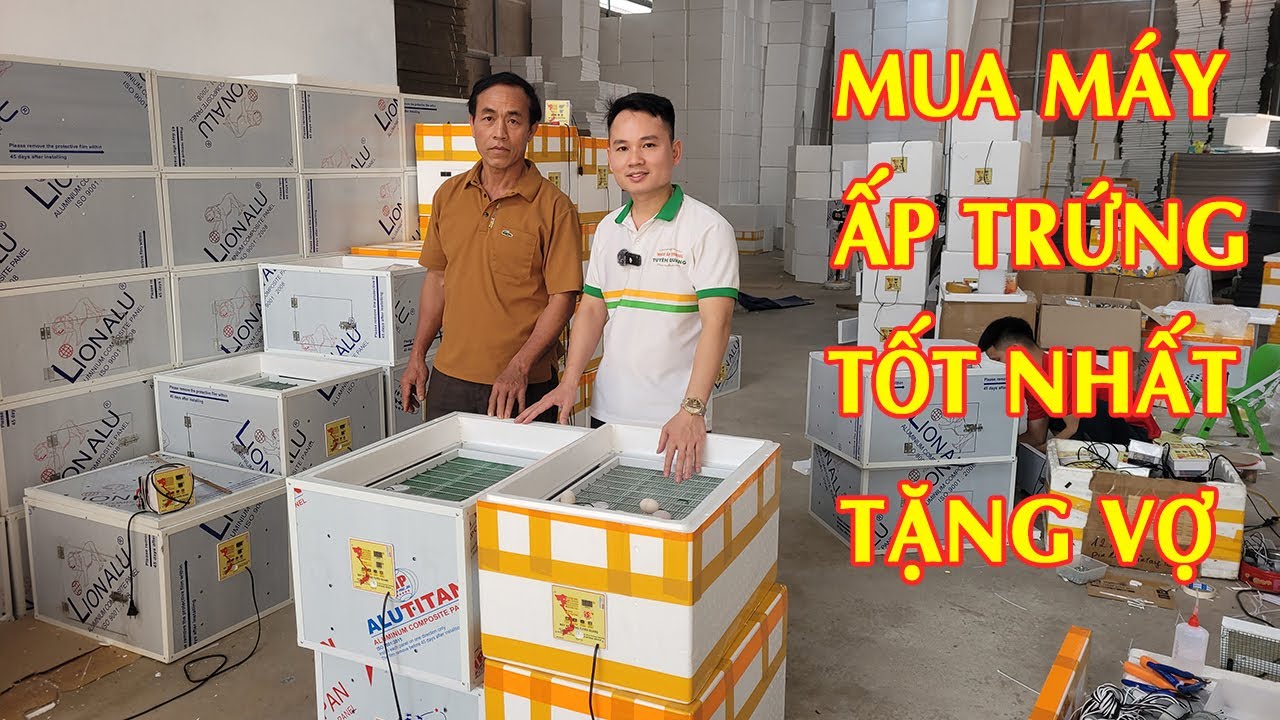 Tư Vấn Máy Ấp Trứng Gà Mini Giá Rẻ Bán Nhiều Nhất 2025