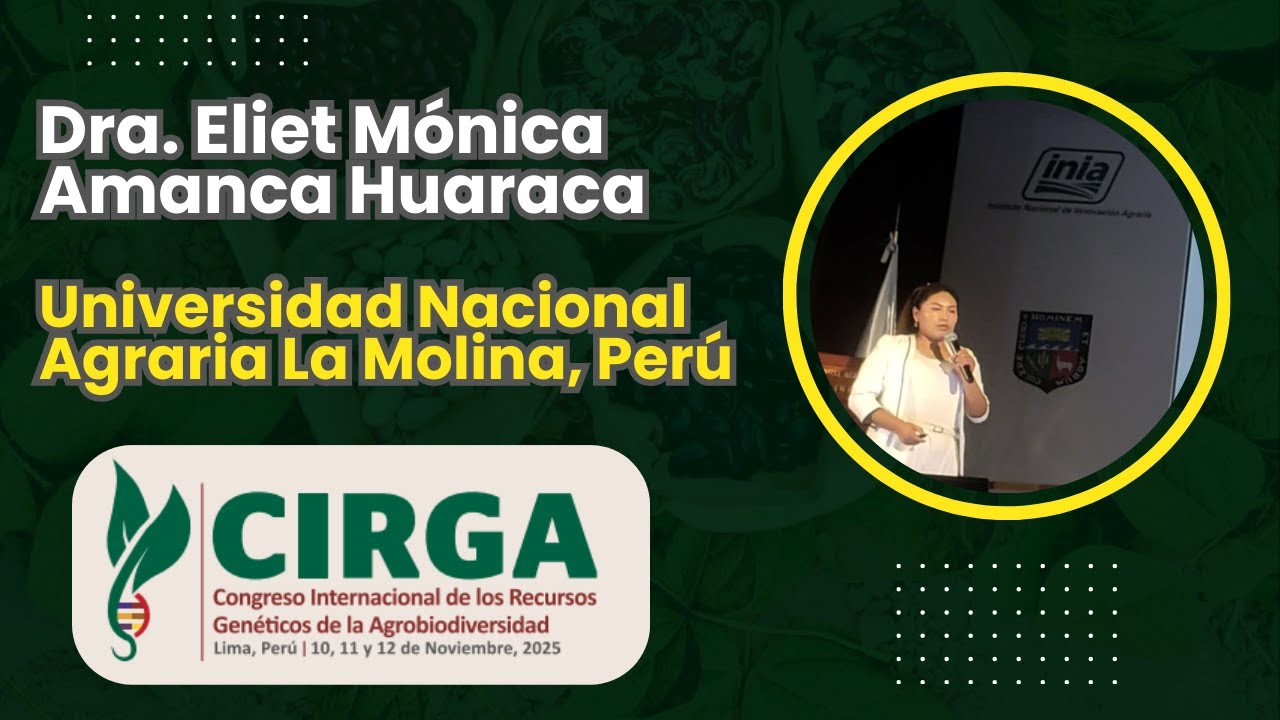 Conservación de quinua nativa en Puno 🌾💰 Dra. Eliet Mónica Amanca Huaraca | CIRGA 2025
