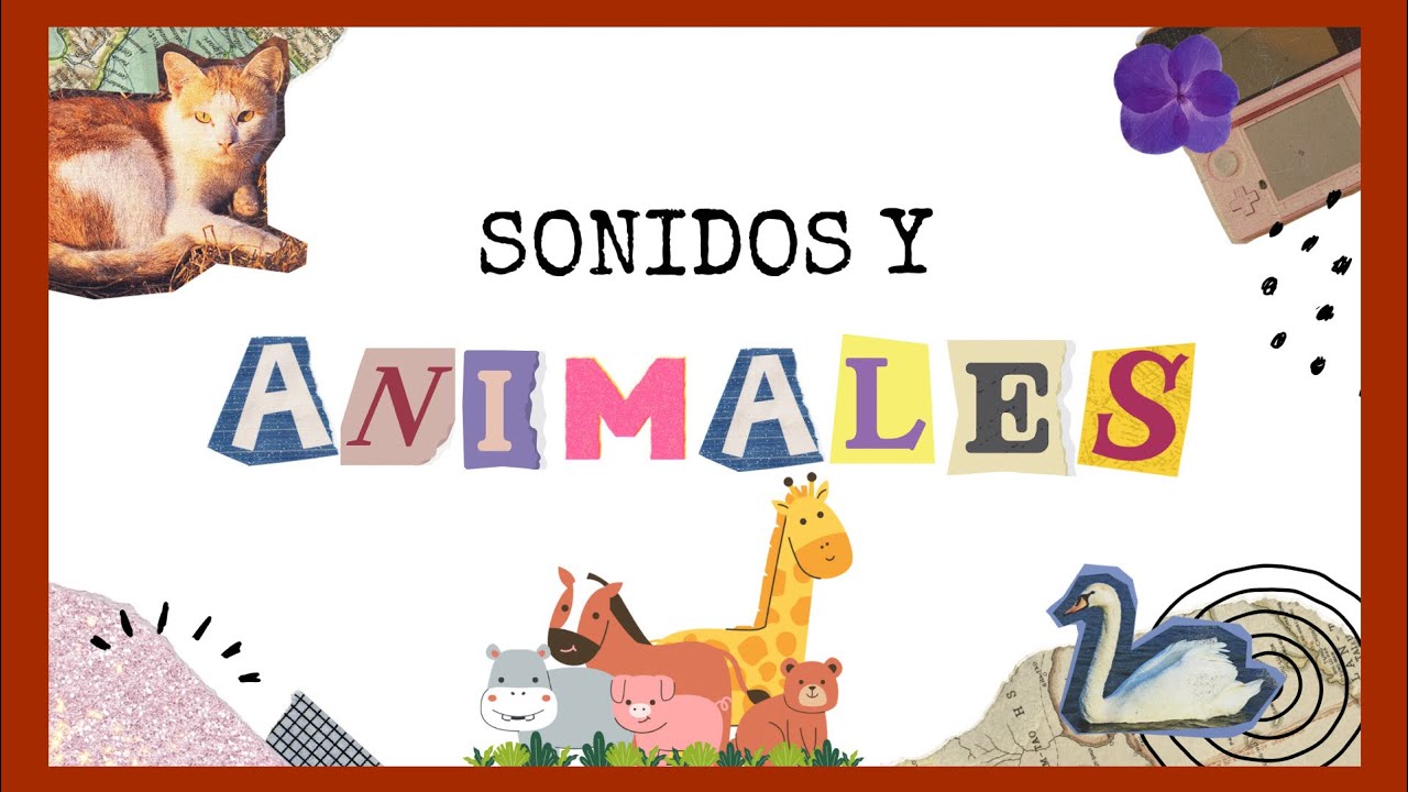 🟠🟡Animales y sonidos en español | con música y juegos