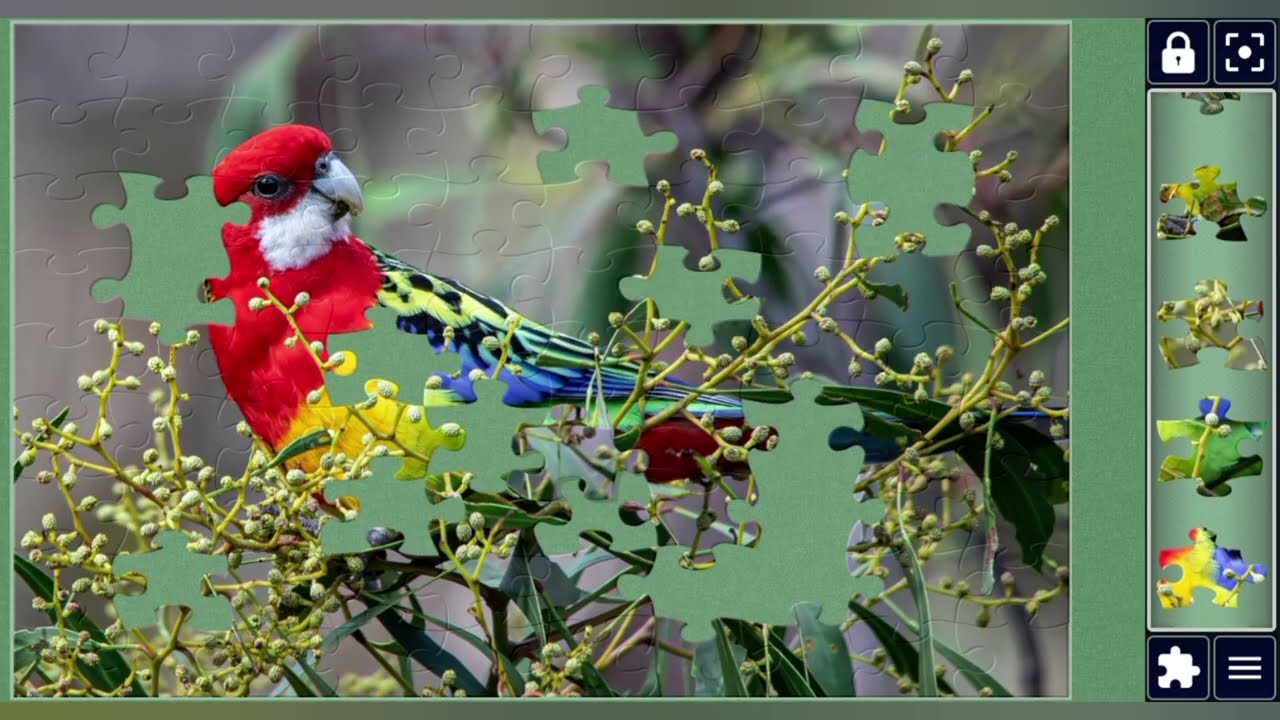 Radiant Rosella on Budding Twig🦜🌳🪾🌺✨🧩 beautiful jigsaw puzzle 🧩//@jigsawpuzzle45 