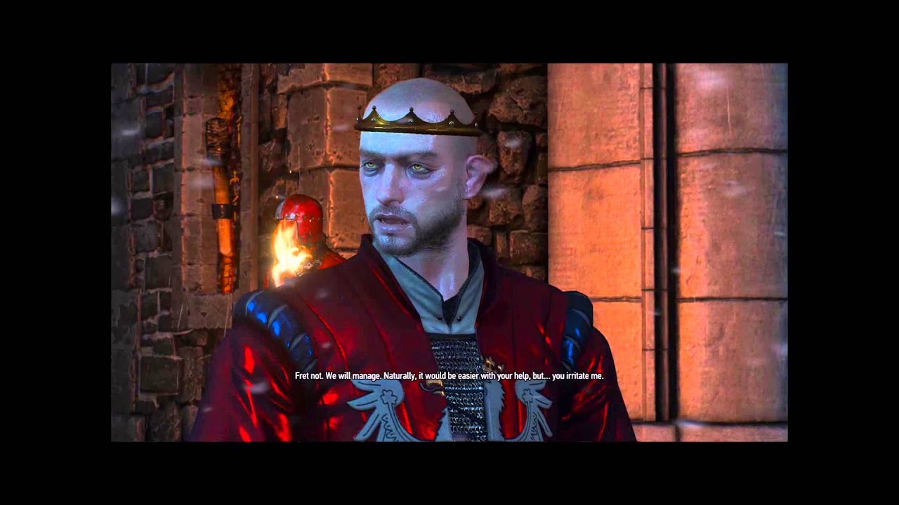 The Witcher 3: Wild Hunt Reason of State