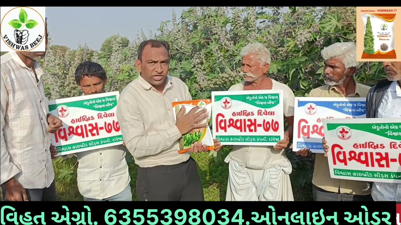 //વિશ્વાસ 77 દિવેલા. ગામ અમરનેસડા. ખરીદી કરતા વિહત એગ્રો. 6355398034.ઓડર માટે //